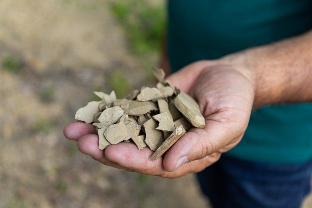 La ponca, l'anima del Friuli