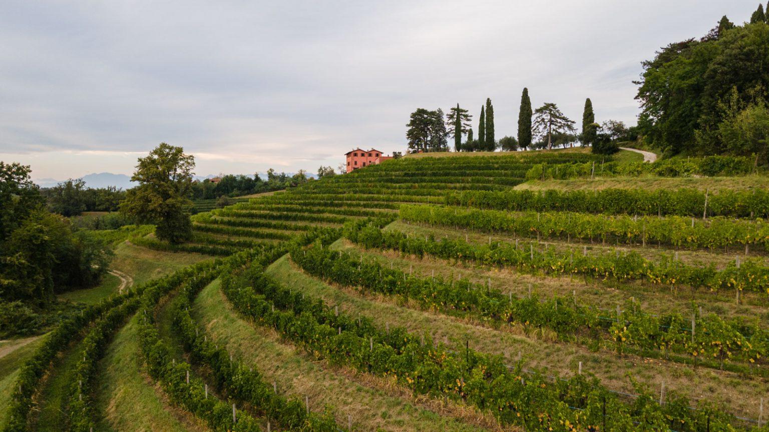 Rocca Bernarda - Terre dei Cavalieri